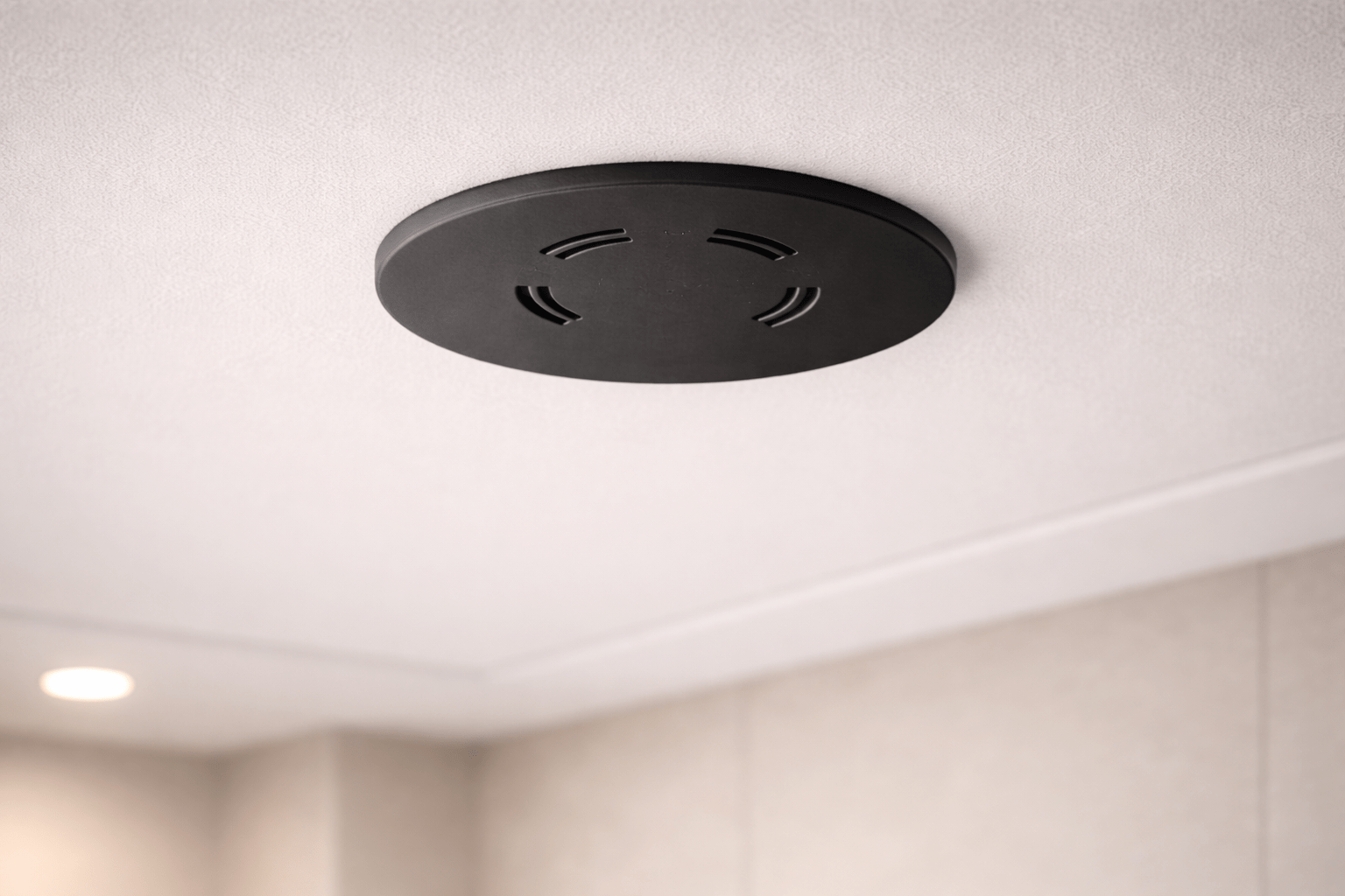 Installed view of LoiterGuard